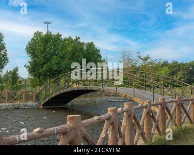 Bella foto del giardino con sterline . La vista sulla natura è fantastica. Laghetto di grandi dimensioni con piscine. Questa è bella bellezza della natura. Foto Stock