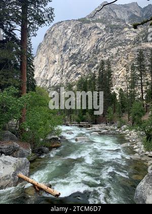 Un tranquillo torrente si snoda attraverso una valle lussureggiante, circondata da alberi torreggianti e grandi rocce simili a massi Foto Stock