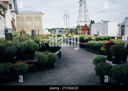 negozio di fiori a boston, usa - 2 maggio 2023 Foto Stock