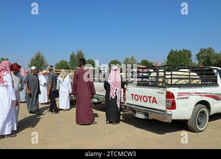 Commercio di ovini in Arabia Saudita Foto Stock