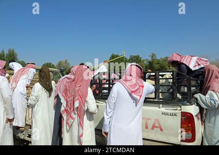 Commercio di ovini in Arabia Saudita Foto Stock