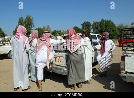 Commercio di ovini in Arabia Saudita Foto Stock