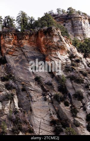 crepe diagonali in una mesa bianca, il parco nazionale di zion, utah Foto Stock