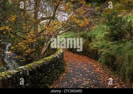 Percorso attraverso il Wycoller Country Park, vicino alle rovine abbandonate di Wycoller Hall, Lancashire Foto Stock