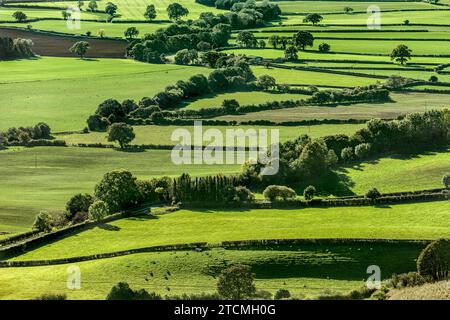 Vista spettacolare sui campi da Sutton Bank, North York Moors National Park, North Yorkshire, Inghilterra Foto Stock