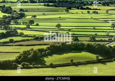 Vista spettacolare sui campi da Sutton Bank, North York Moors National Park, North Yorkshire, Inghilterra Foto Stock