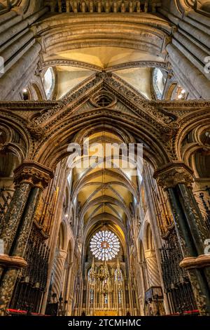 Soffitto a volta sopra la navata della Cattedrale di Durham Foto Stock