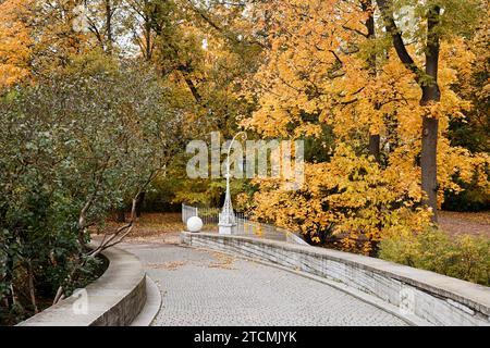 Tortuosa strada asfaltata con lanterna esterna che conduce in salita nel paesaggio degli alberi autunnali, spazio copia Foto Stock