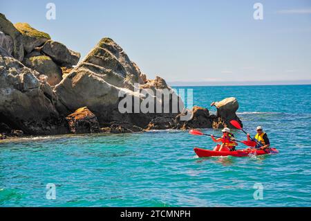 Il kayak nel Parco Nazionale Abel Tasman, regione Tasmania, Isola del Sud, Nuova Zelanda Foto Stock