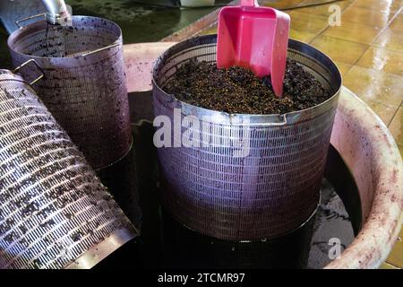 Vendemmia, fermentazione del succo di uve pigiate rosse in tini di acciaio, vitigno Cabernet Sauvignon proveniente dai vigneti Haut-Medoc di Bordeaux, a sinistra Foto Stock