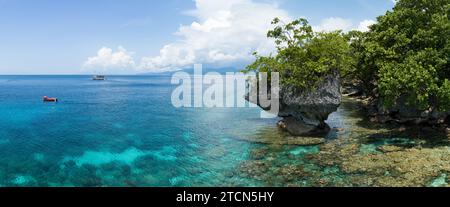Una sana barriera corallina confina con una lussureggiante isola tropicale vicino ad Ambon, Indonesia. Questa remota area tropicale ospita una straordinaria biodiversità marina. Foto Stock
