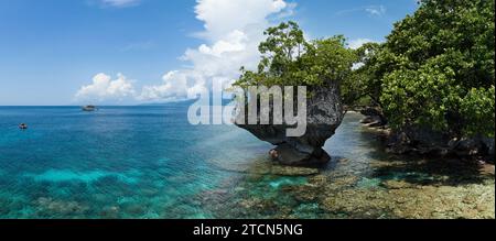 Una sana barriera corallina confina con una lussureggiante isola tropicale vicino ad Ambon, Indonesia. Questa remota area tropicale ospita una straordinaria biodiversità marina. Foto Stock