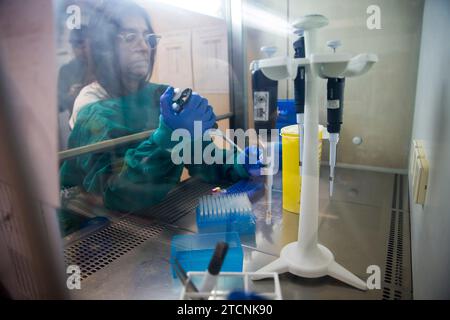 Majadahonda (Madrid), 01/28/2020. Il Ministro della Sanità Salvador Illa e il Ministro della Scienza e dell'innovazione Pedro Duque visitano il Centro Nazionale di Microbiologia, accompagnati dal direttore dell'Istituto di Sanità Carlos III (ISCIII), Raquel Yotti e dal direttore del Centro Nazionale di Microbiologia , Jesús Oteo. In questi laboratori vengono analizzati campioni di possibili infezioni da coronavirus. Foto: Ángel de Antonio. ARCHDC. Crediti: Album / Archivo ABC / Ángel de Antonio Foto Stock