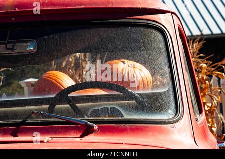 Le zucche appena raccolte sono impilate nel letto e visibili attraverso il parabrezza anteriore di un pick-up Ford F100 rosso d'epoca al tramonto del sole autunnale. Foto Stock