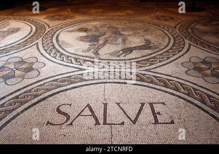 Siviglia, 07/10/2020. Rapporto al Palazzo della Contessa di Lebrija, in Cuna Street. Foto: Juan Flores ARCHSEV. Crediti: Album / Archivo ABC / Juan Flores Foto Stock