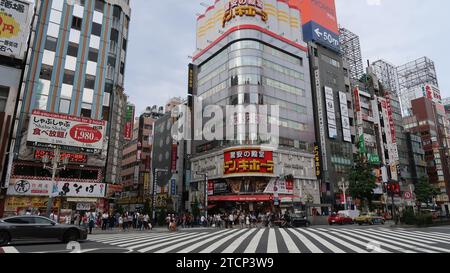 Varie immagini di un viaggio a Tokyo e hiroshima, con cibo, paesaggio urbano, architettura e trasporto. Foto Stock