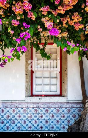 Finestra nella città vecchia di Lisbona con Azulejos e albero in fiore, Portogallo Foto Stock