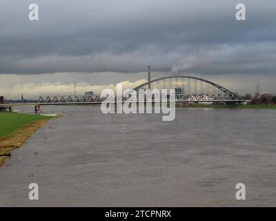 Blick ueber den Rheinstrom mit Hochwasser bei Duesseldorf Hamm mit der Eisenbahnbruecke Duesseldorf Rheinhochwasser Eisenbahnbruecke Hamm *** Vista sul fiume Reno con acqua alta a Duesseldorf Hamm con il ponte ferroviario Duesseldorf Ponte ferroviario Reno alta ferrovia Hamm Foto Stock