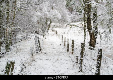 Sentiero innevato lungo il lato di un bosco. Speyside, Highlands, Scozia Foto Stock