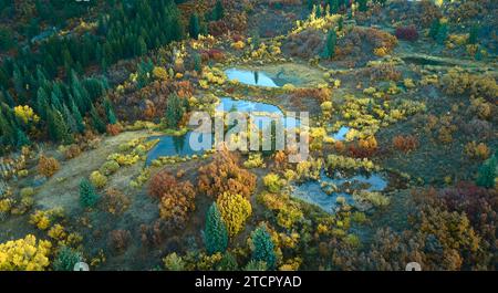 Vista aerea di una lussureggiante foresta con un luminoso fogliame autunnale che si irradia dai bordi, creando una straordinaria esposizione di colori autunnali Foto Stock