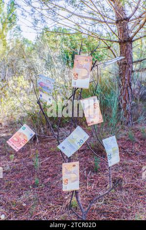 Banconote in euro appese ai rami di un albero in una pineta Foto Stock