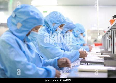 HUAI'AN, CINA - 14 DICEMBRE 2023 - i lavoratori fanno set per infusione medica da esportare in un laboratorio a Huai'an City, provincia di Jiangsu, Cina, 14 dicembre 20 Foto Stock