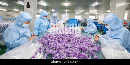 HUAI'AN, CINA - 14 DICEMBRE 2023 - i lavoratori fanno set per infusione medica da esportare in un laboratorio a Huai'an City, provincia di Jiangsu, Cina, 14 dicembre 20 Foto Stock