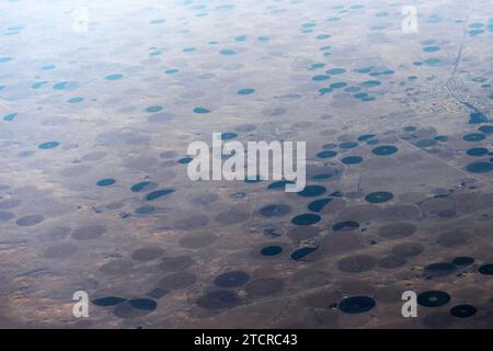 Vista aerea dei campi agricoli circolari nel deserto arabo in Arabia Saudita. Foto Stock