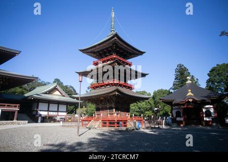 Il Tempio Naritasan Shinshoji è un popolare complesso di templi buddisti nella città di Narita Foto Stock