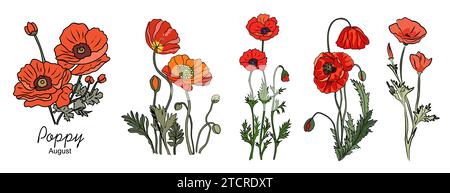 Set di Poppy, agosto mese di nascita fiori vettore. Illustrazione Vettoriale