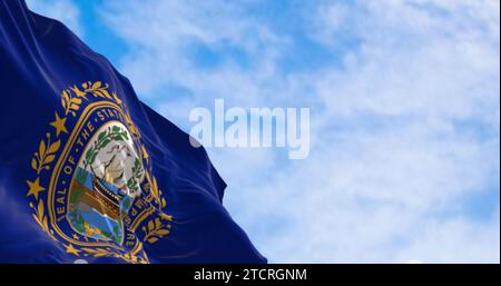 Primo piano della bandiera dello stato del New Hampshire che sventola nel vento. Sfondo blu scuro con un sigillo di stato al centro. rendering dell'illustrazione 3d. Messa a fuoco selettiva Foto Stock