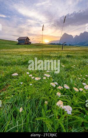 L'alba d'oro bagna l'Alpe di Siusi, illuminando vasti prati alpini e vette lontane in tonalità mozzafiato. Un momento pittoresco nelle Dolomiti Foto Stock