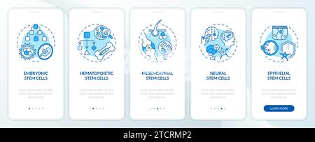 Tipi di cellule staminali con icone blu a linee sottili Illustrazione Vettoriale