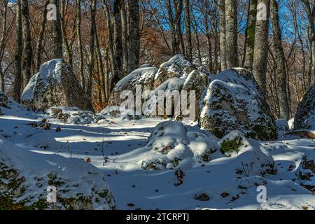 Grandi massi ricoperti di neve in una foresta di faggi spogliati delle loro foglie. Abruzzo, Italia, Europa Foto Stock