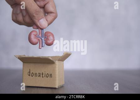 Mano che mette reni nella scatola donazione. Spazio di copia per il testo. Concetto di donazione di organi. Foto Stock