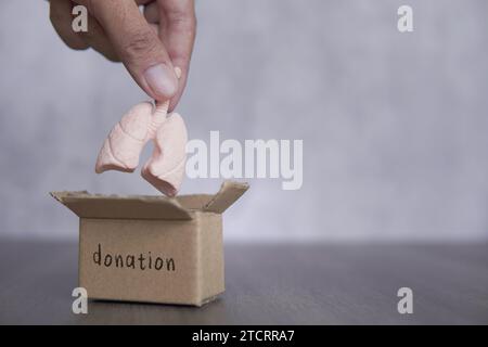 Mano che mette i polmoni nella scatola della donazione. Spazio di copia per il testo. Concetto di donazione di organi. Foto Stock