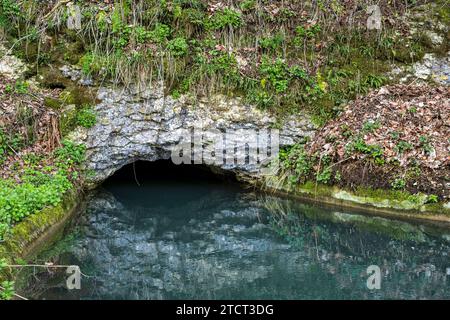 Die Große Lauter verschwindet im Kalkgestein, Großes Lautertal bei Lauterach, Munderkingen, Schwäbische Alb, Baden-Württemberg, Deutschland. Foto Stock