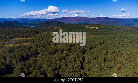 Vista aerea della foresta di Rothiemurchus nel Parco nazionale di Cairngorms nelle Highlands scozzesi della Scozia, Regno Unito Foto Stock