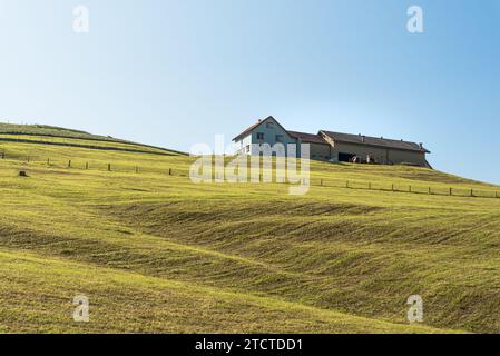 Tipica fattoria Appenzell su una collina, paesaggio rurale, Cantone di Appenzello Innerrhoden, Svizzera Foto Stock