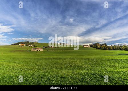 Paesaggio collinare nella regione dell'Appenzello con case coloniche, prati e pascoli, Cantone di Appenzello Innerrhoden, Svizzera Foto Stock