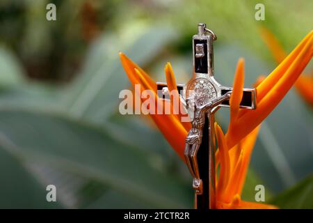 Crocifisso di Gesù su un fiore tropicale. Pregate in natura. Foto Stock