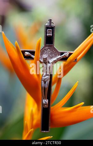 Crocifisso di Gesù su un fiore tropicale. Pregate in natura. Foto Stock