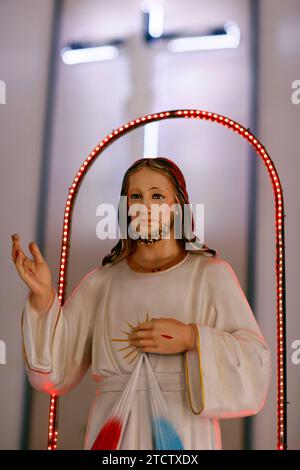 Cattedrale di CAN Tho. Gesù come la Divina Misericordia. Ho fiducia in te. CAN Tho. Vietnam. Foto Stock