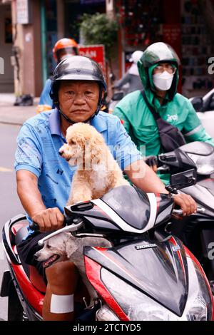 Uomo che guida uno scooter con due cani. Foto Stock