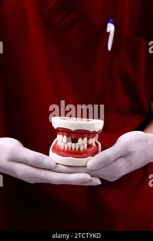 Ortodontista. Protesi dentale, dente artificiale, protesi, mani che lavorano sulla dentatura. Foto Stock