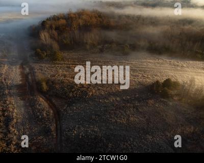 Campi autunnali con nebbia crescente e terreno ghiacciato Foto Stock