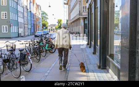 Un vecchio uomo ben vestito con un cane cammina per strada a Copenhagen, Danimarca Foto Stock