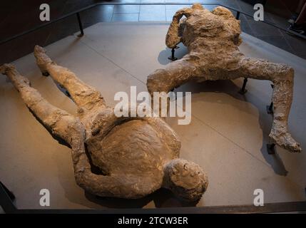 Calchi in gesso delle vittime dell'eruzione A. D. 79, Pompei, Italia Foto Stock
