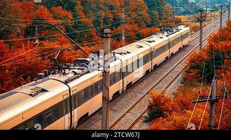 Rustic Rails: La prospettiva dei droni dell'alba sul viaggio in treno nella foresta Foto Stock
