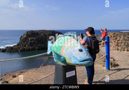 Scultura di wrasse ornata, Thalassoma Pavo, sopra il porto di pescatori, El Cotillo, Fuerteventura, Isole Canarie, Spagna. Foto Stock